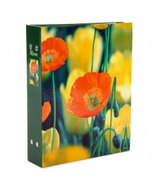 Ф/Альбом  EA  (46363)  200 ф  Lancome, маки                              (1..