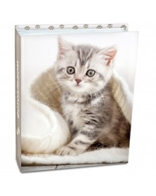 Ф/Альбом  Pioneer  (64448)  200 ф  Puppies And Kittens        (12)..