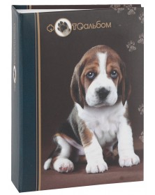 Ф/Альбом  IA-100 фото  10*15         Серия 038                             ..