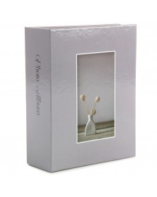 Ф/Альбом  Pioneer  (91471)  100 ф Early spring                      (24)..