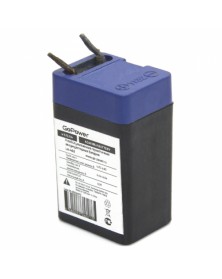 Аккумулятор GoPower VRLA  4v - 0,3 Ah    Свинц.- кислотный  AGM  (1 / 10)..