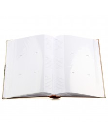 Ф/Альбом  Pioneer  (117403)  360 ф  Classica   книжный переплёт, Memo (12) ..