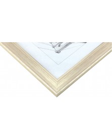 Ф/Рамка Image Art пласт. 607 / 10*15 Серебро (46).. Ф/Рамка Image Art пласт. 607 / 10*15 Серебро (46)..