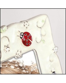 Ф/Рамка ZEP P1446  LADY BIRD10*15 металлическая       ..