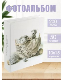 Ф/Альбом  Pioneer  (122111)  200 ф  My Photoes                     (12)..