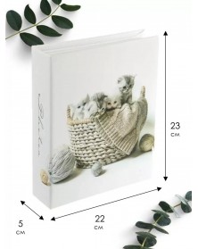 Ф/Альбом  Pioneer  (122111)  200 ф  My Photoes                     (12)..