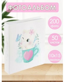 Ф/Альбом  Pioneer  (122108)  200 ф  My Photoes                     (12)..