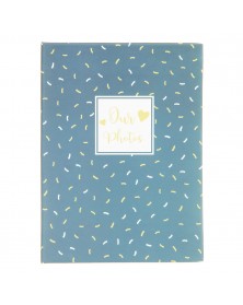 Ф/Альбом  Pioneer  (131651)  100 ф РР Классика      (24)..