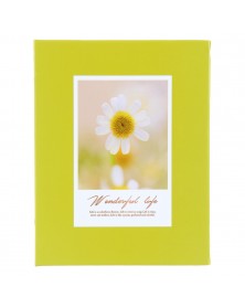 Ф/Альбом  Pioneer  (134221)  100 ф Цветы                      (24)..