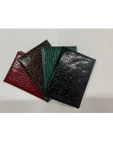 Обложка на паспорт ЧЕШУЯ 120МК-24Т072.. Обложка на паспорт ЧЕШУЯ 120МК-24Т072..