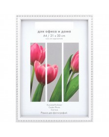 Ф/Рамка PLATINUM пласт. 21*30 КАМЕЯ - Белый с серебром БЕЗ НОЖКИ (26).. Ф/Рамка PLATINUM пласт. 21*30 КАМЕЯ - Белый с серебром БЕЗ НОЖКИ (26)..